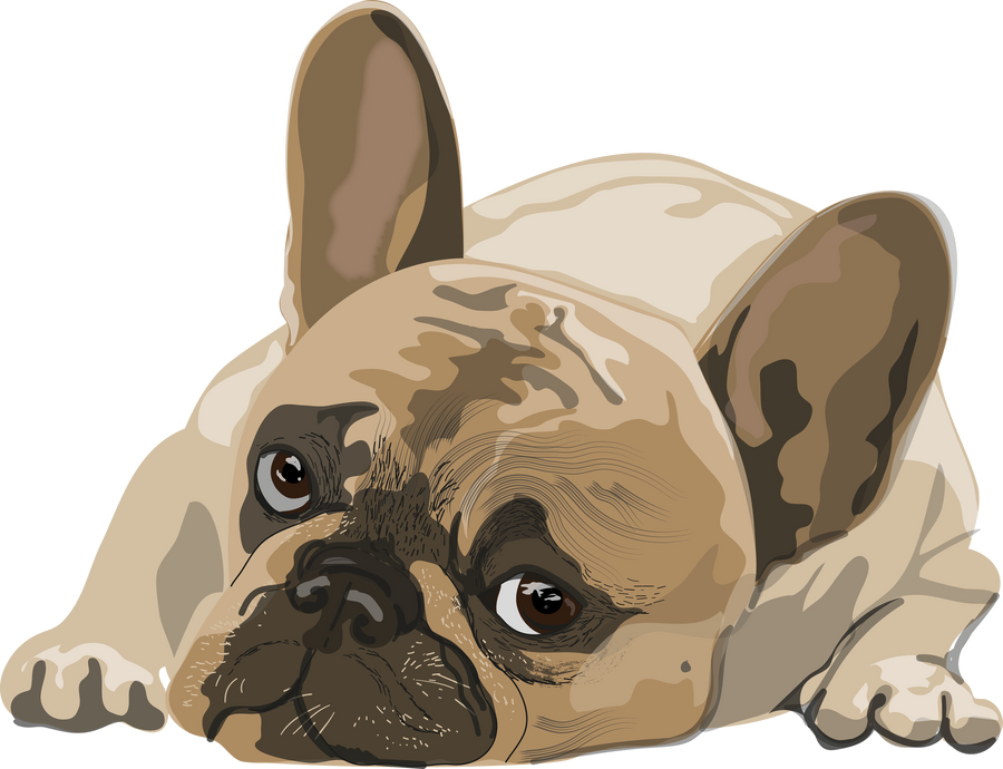 Illustration of a Dog